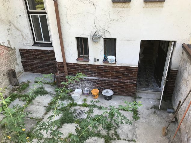 Dvorek za domem - ještě ho uklidíme, nebojte :)