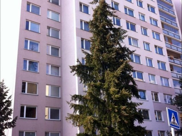 Pronájem bytu Praha