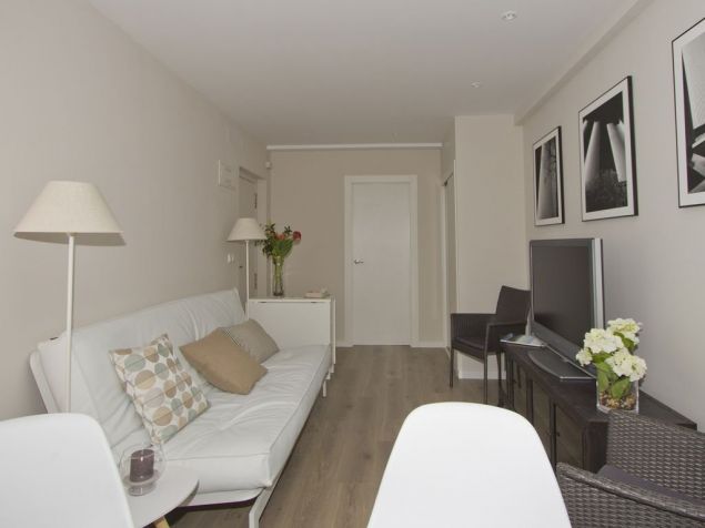 Pronájem bytu Svitavy