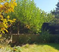 Pronájem bytu Praha