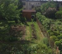 Pronájem bytu Praha