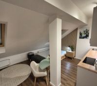 Full apartment overview attic layout