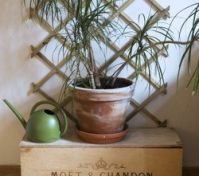 Pronájem bytu Praha