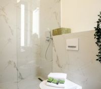 Marble bathroom with walk-in shower
