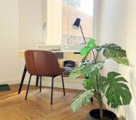 Bright workspace with monstera plant