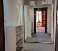 There is a large wardrobe with sliding mirror door in the entry hall