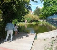 Pronájem bytu Praha