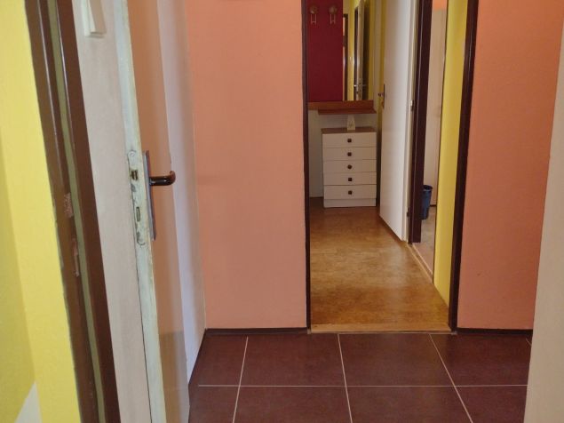 Spolubydlení České Budějovice