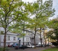 Pronájem bytu Praha