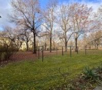 Pronájem bytu Praha