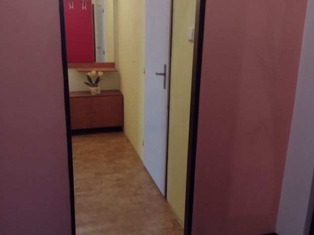 Spolubydlení České Budějovice