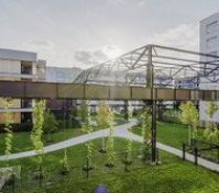 Pronájem bytu Praha