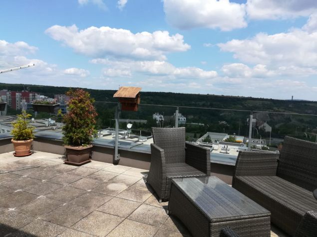 Pronájem bytu Praha