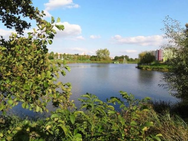 Pronájem pokoje Praha