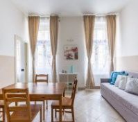 livingroom with a pull out bed