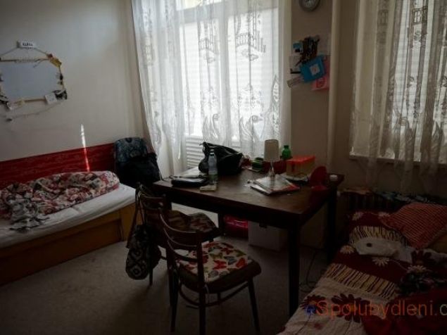 Pronájem bytu Hradec Králové