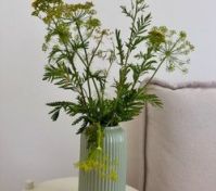 Additional photos image 1