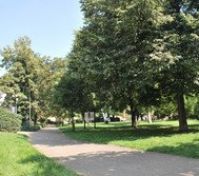Park