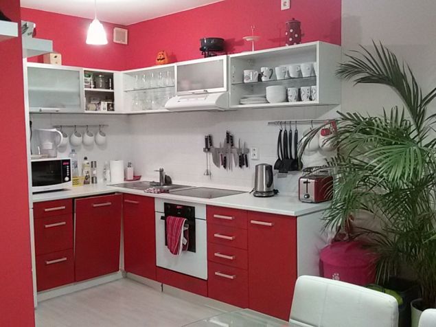 Kuchyň, lednice, mrazák, varná deska, horkovzdušná trouba, mikrovlnka, topinkovač, varná konev, atd..