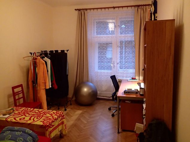 pohled od dveří/chodby