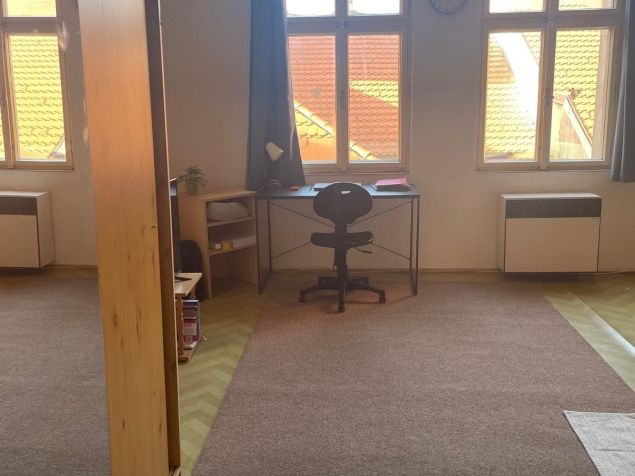 Spolubydlení Plzeň