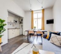 kitchen + living area