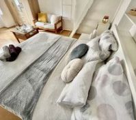 Pronájem bytu Praha