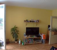 Pronájem pokoje Třemošná