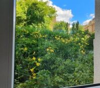 Pronájem bytu Praha