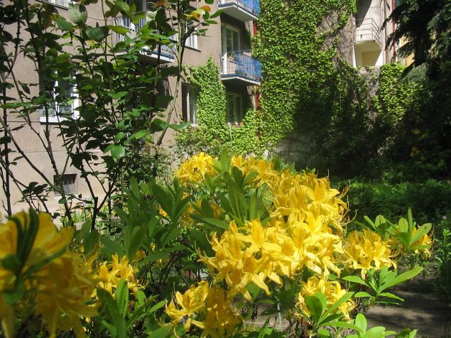 nádherná zahrada patří k domu a je přístupná přímo od bytu