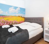 Pronájem bytu Třebíč