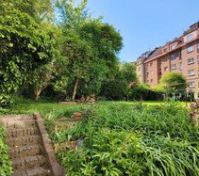  Shared courtyard garden