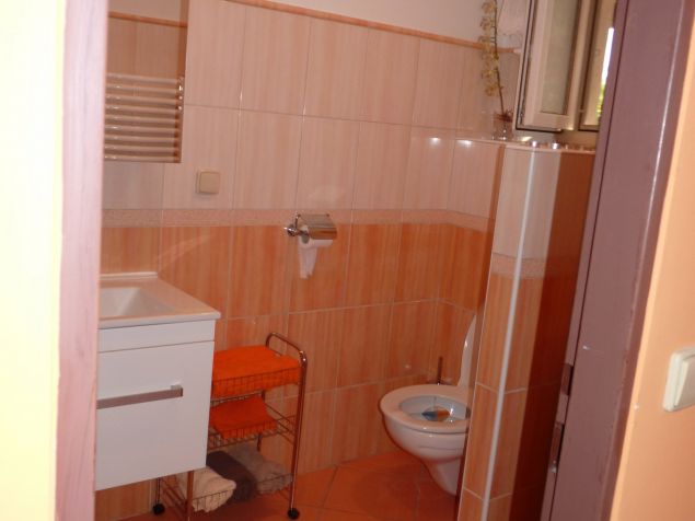 koupelna se sprchovým koutem