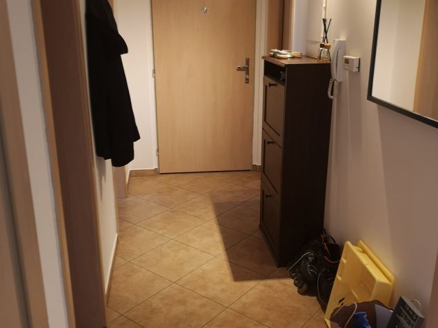 Spolubydlení Olomouc