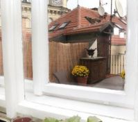 Privacy of a village, but still in the heart of Prague.