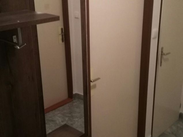 Pronájem bytu Černilov