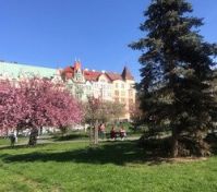 Nearby park with historic buildings